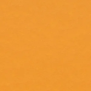 T3354 25 Marmoleum Modular